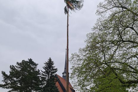 20230429_Baum_giesen.jpg