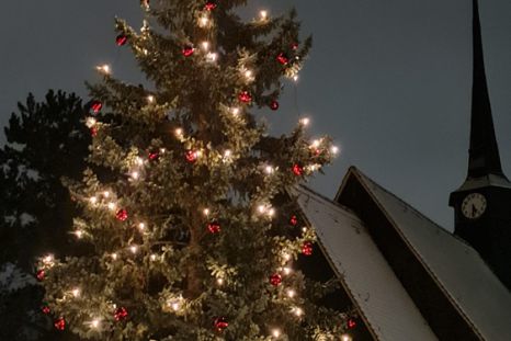 der Weihnachtsbaum